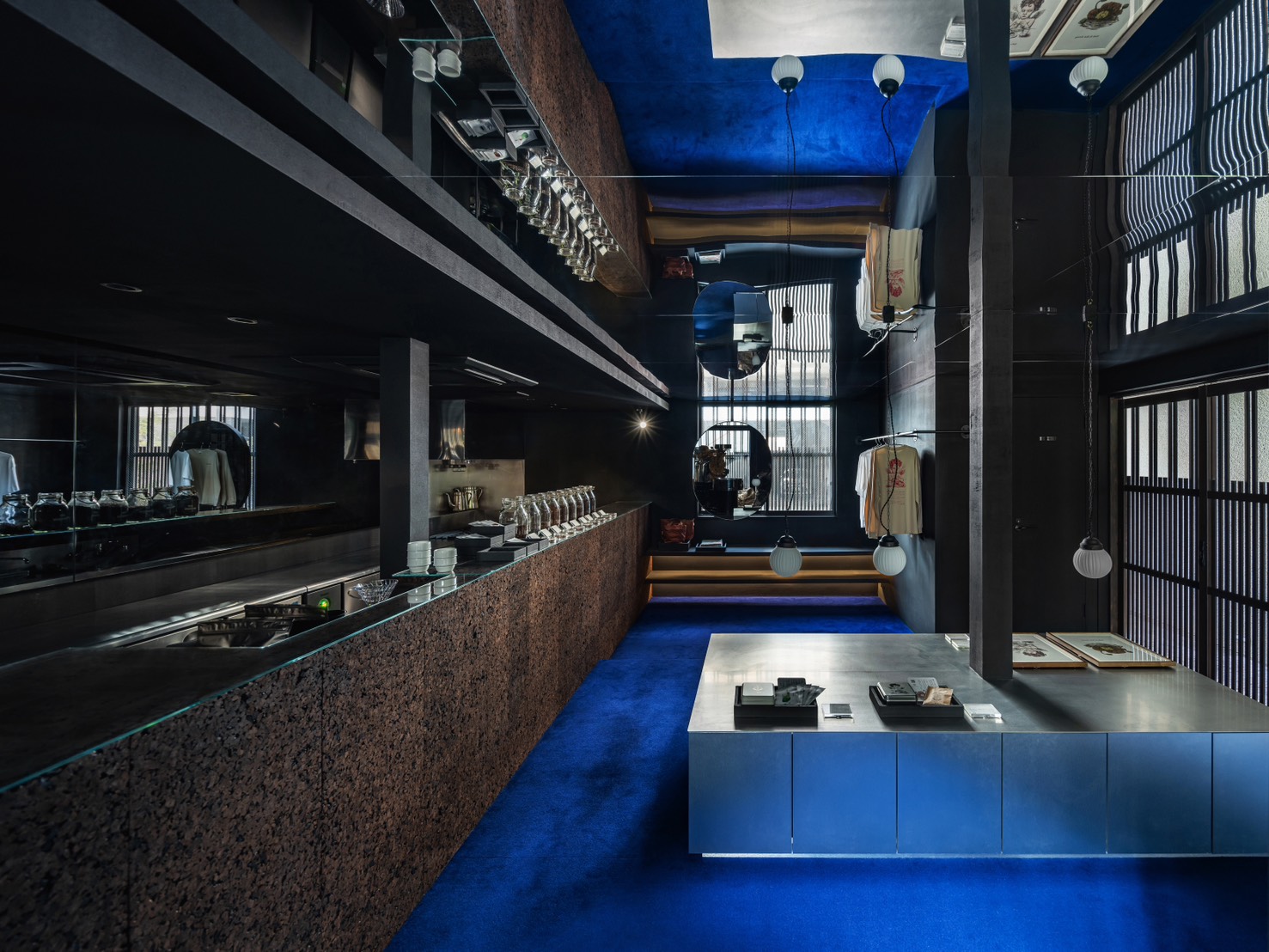 エレベストに咲くブルーポピー